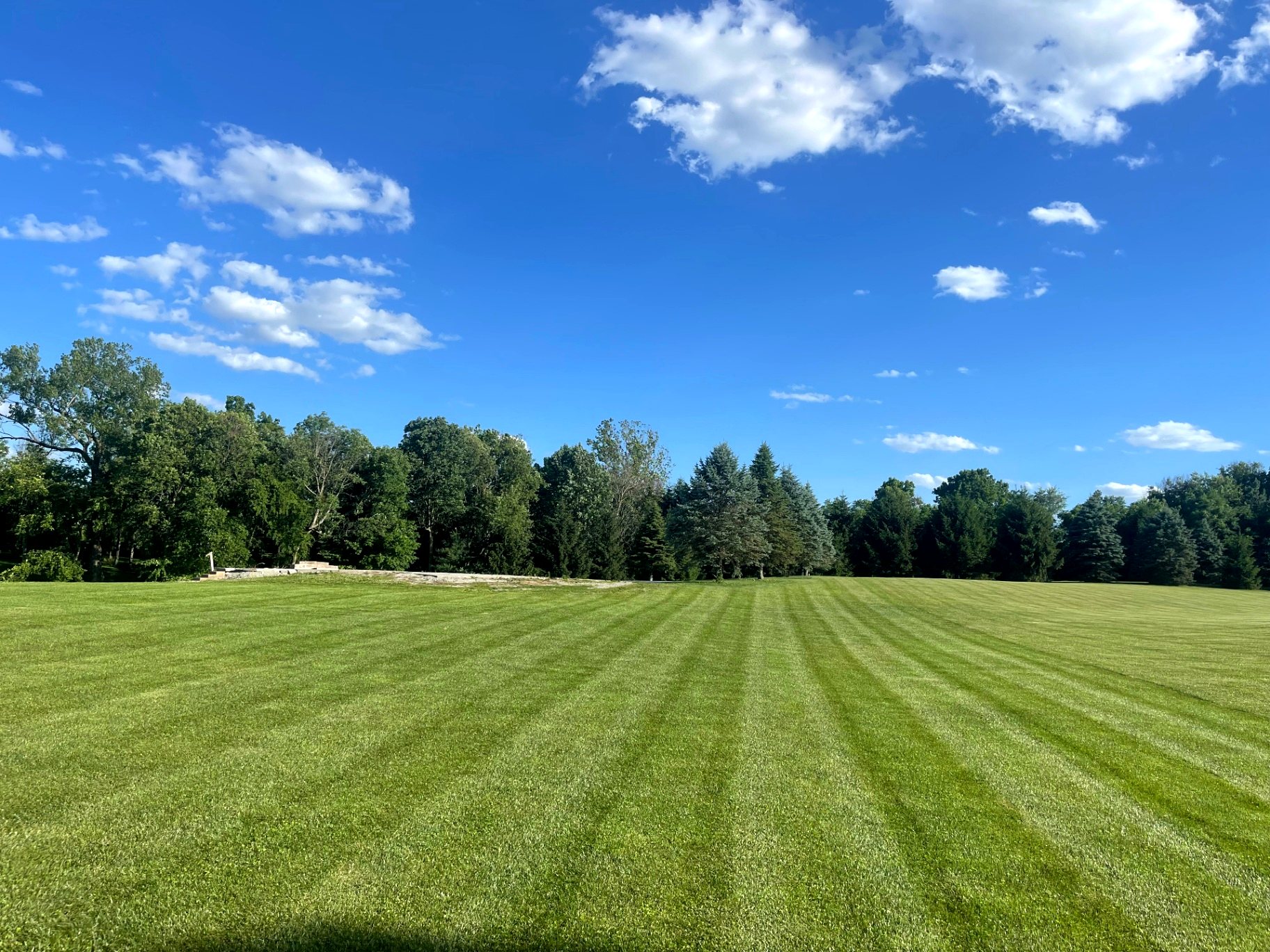 Professionally striped lawn under a clear blue sky by Jordy Lawn Care
