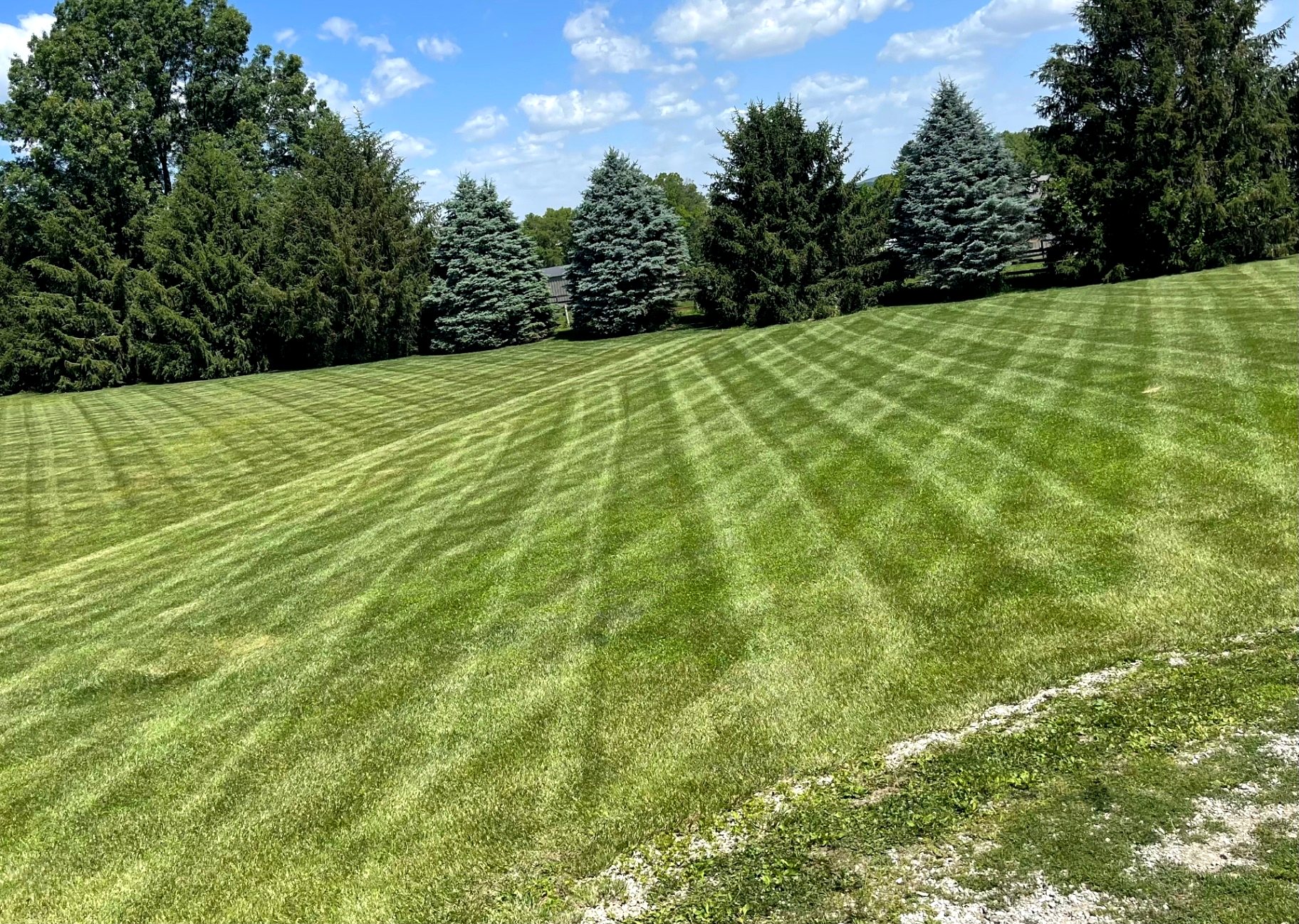 Freshly mowed lawn with clean mowing stripes and sharp edges