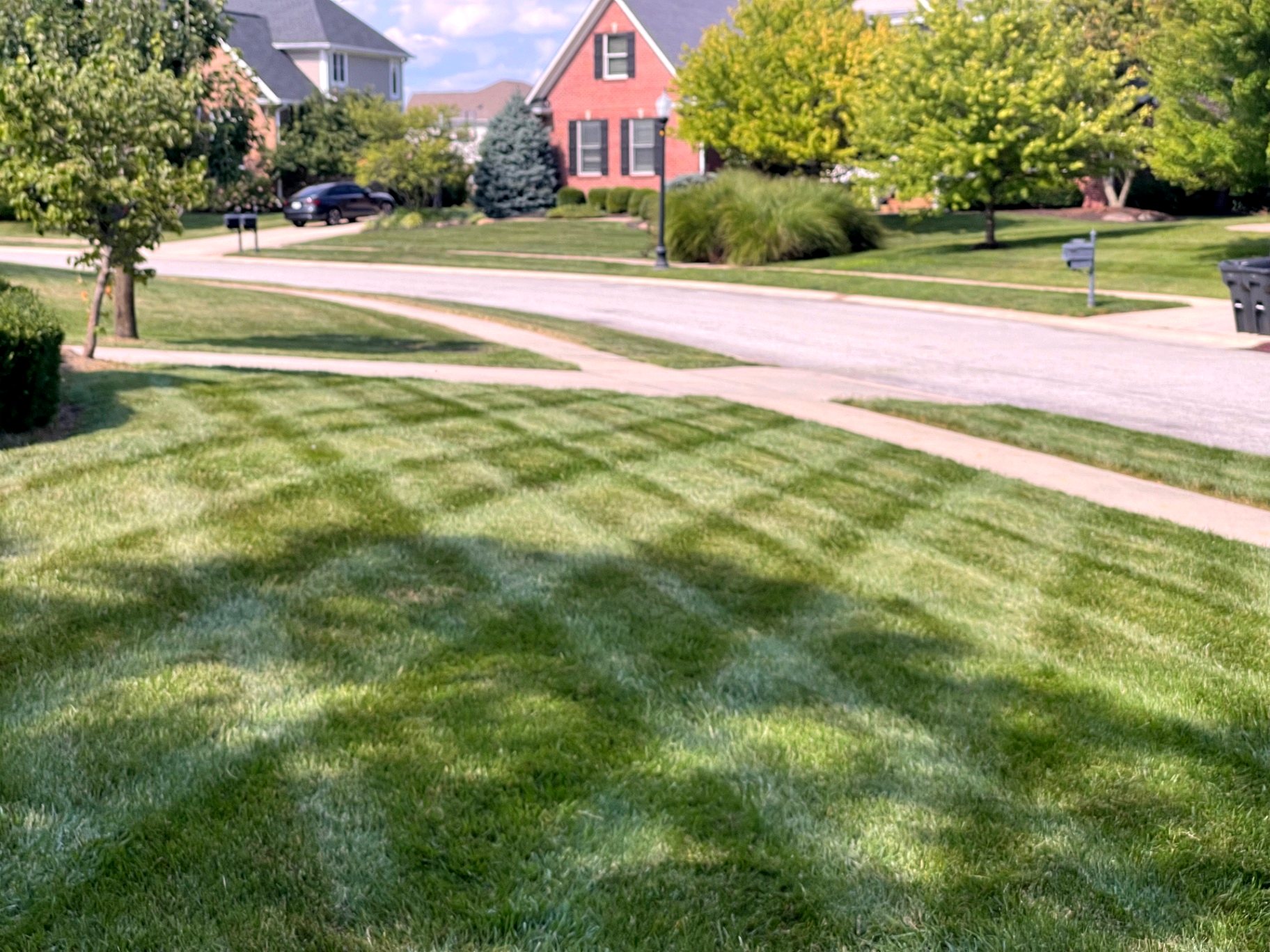 Crisp mowing stripes across a neighborhood front yard