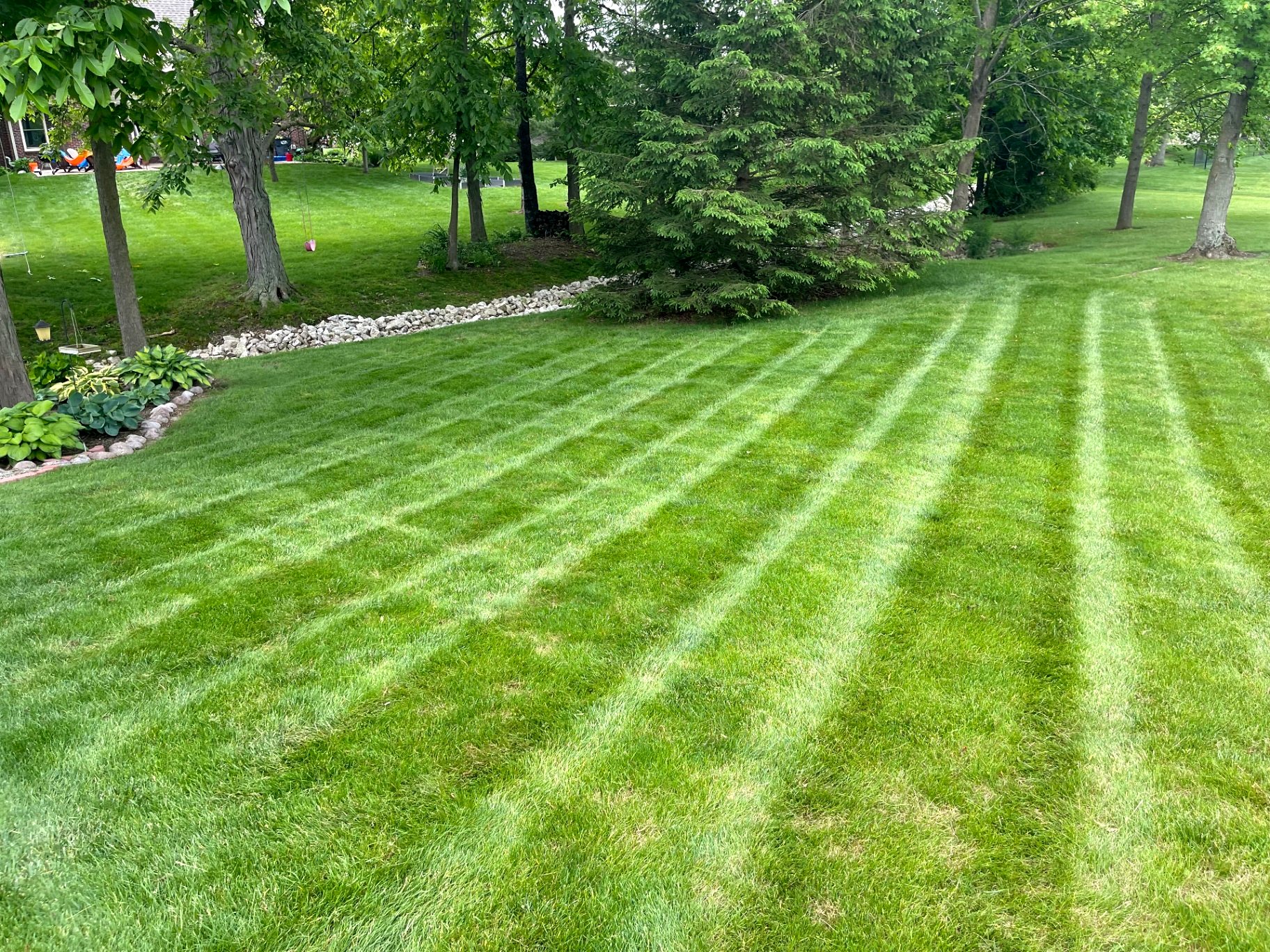 Detailed mowing stripes running through a shaded backyard