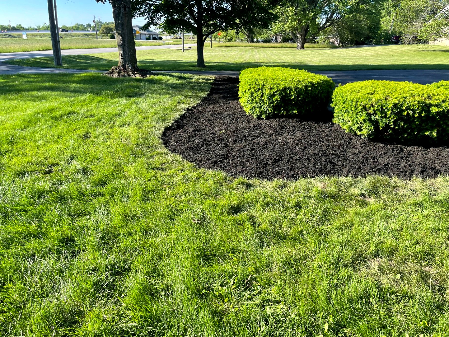 Tidy mulch bed and shrubs after a yard cleanup