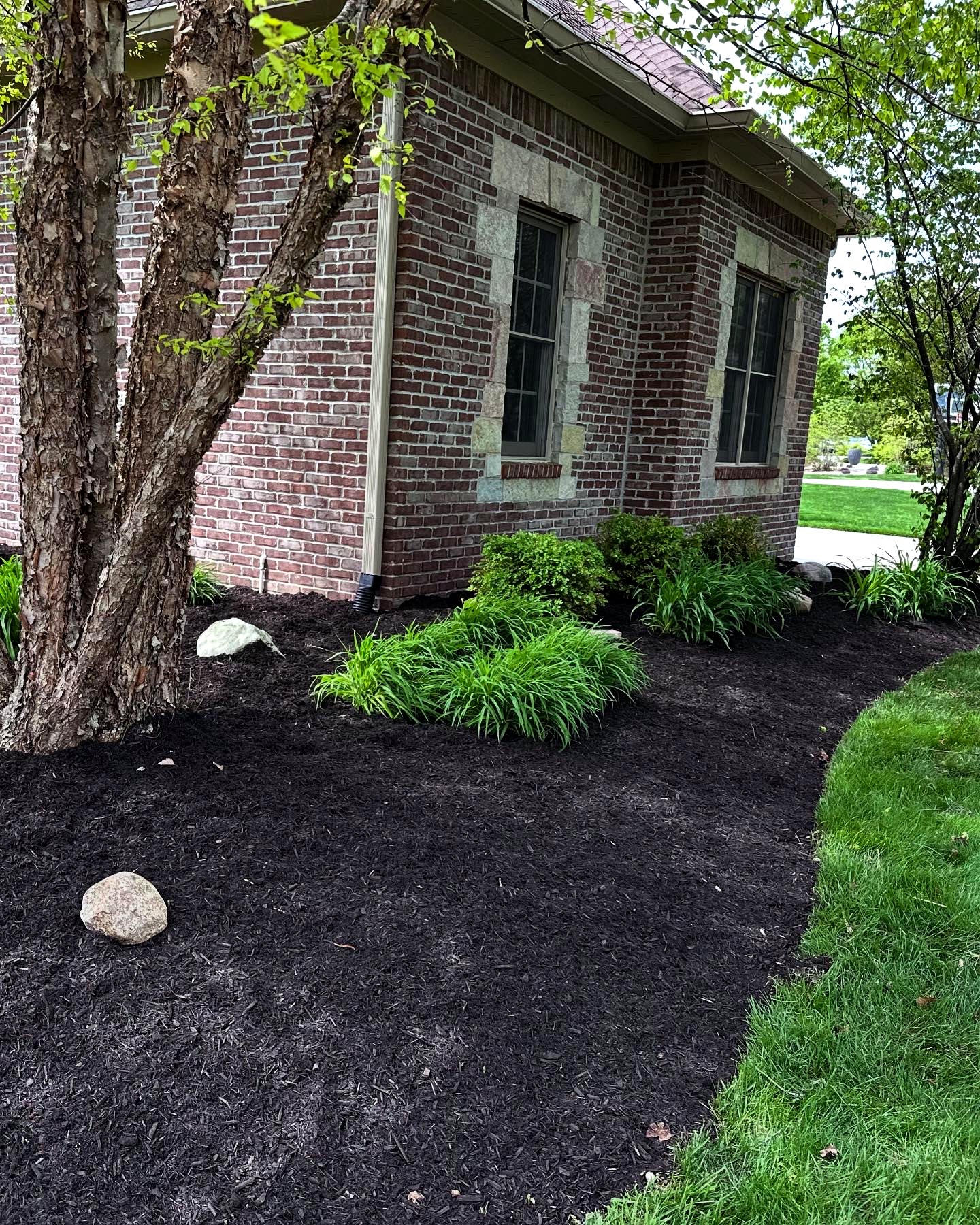 Fresh dark mulch bed along a brick home